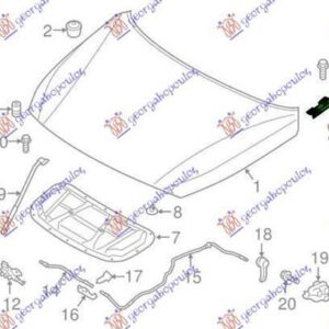 368606141 Hyundai i30 Fastback 2020- | Μεντεσές Καπό Δεξιός